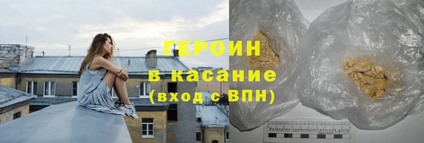 прущие грибы Тайга