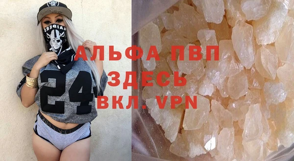 прущие грибы Тайга