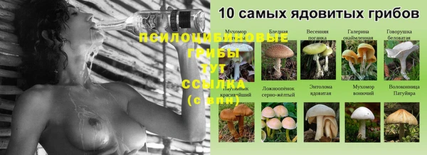 метадон Бородино